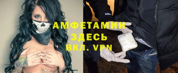 ГАЛЛЮЦИНОГЕННЫЕ ГРИБЫ Коряжма