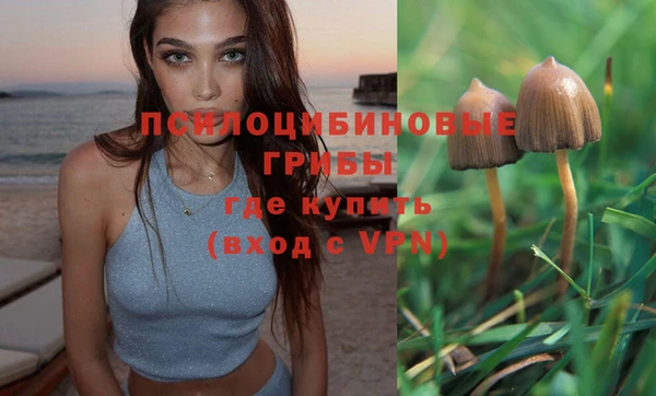 apvp Белоозёрский